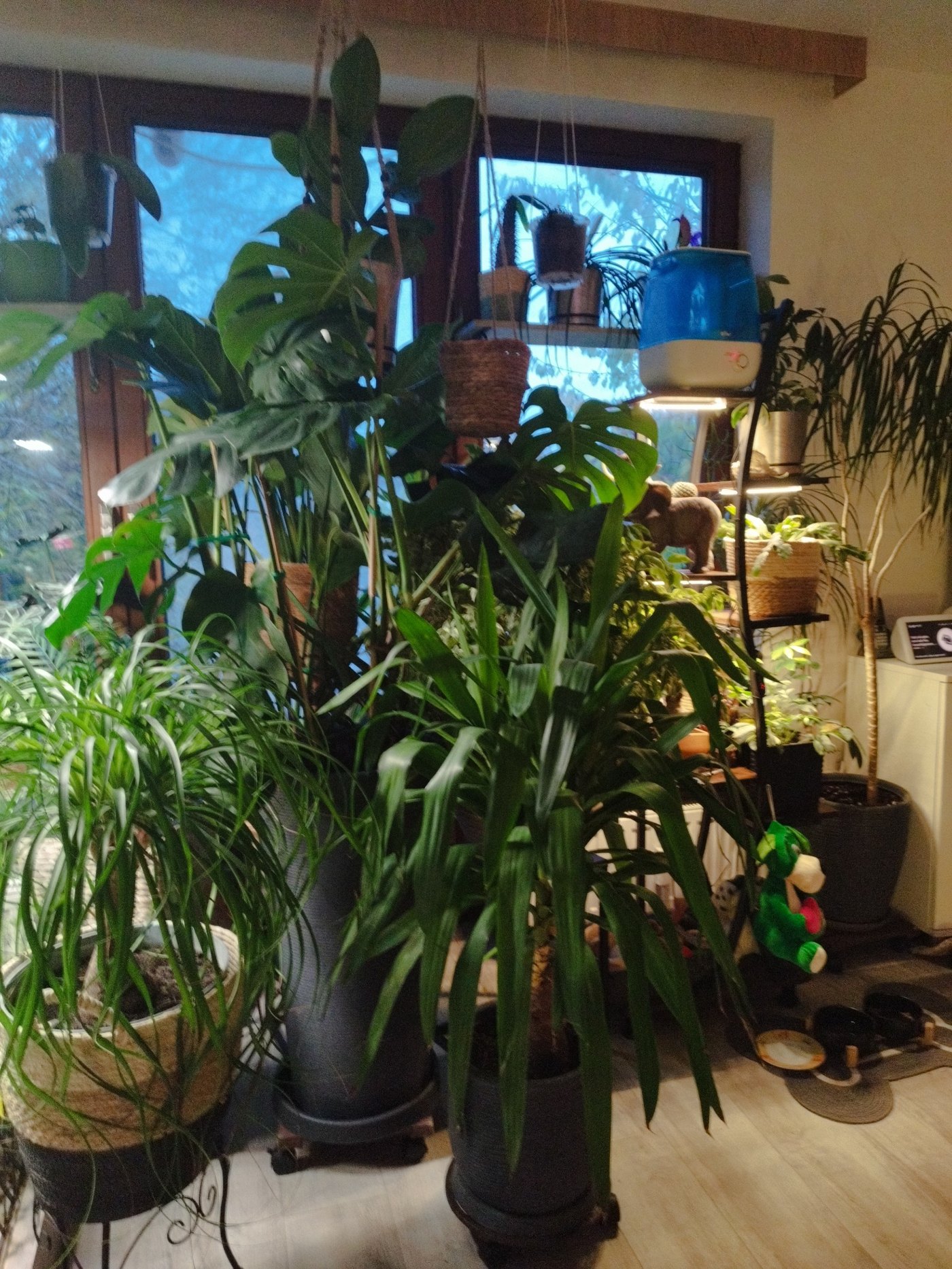 Unsere Pflanzen – 3