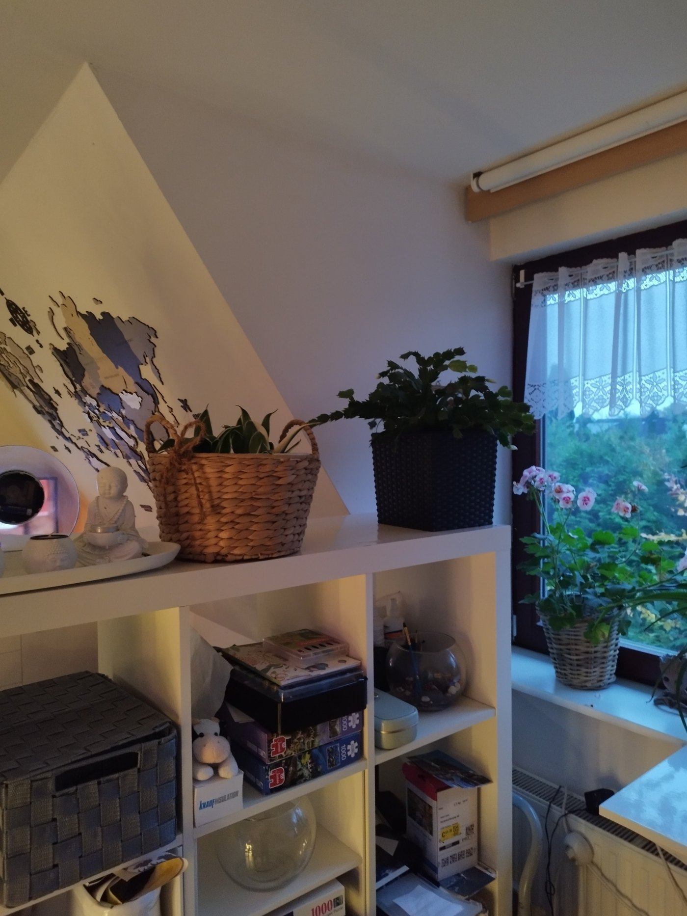 Unsere Pflanzen – 5