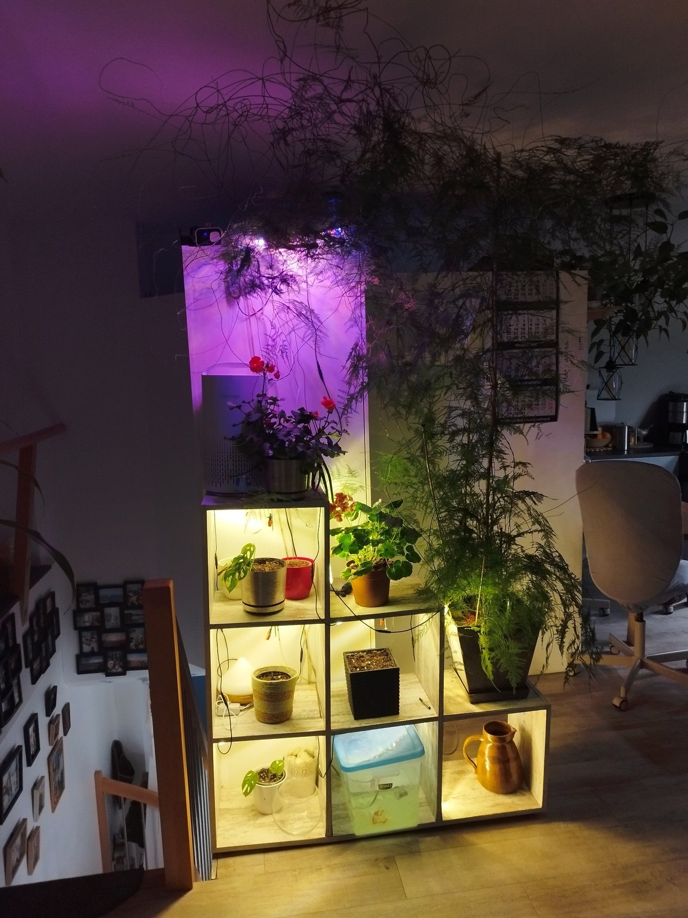 Unsere Pflanzen – 6