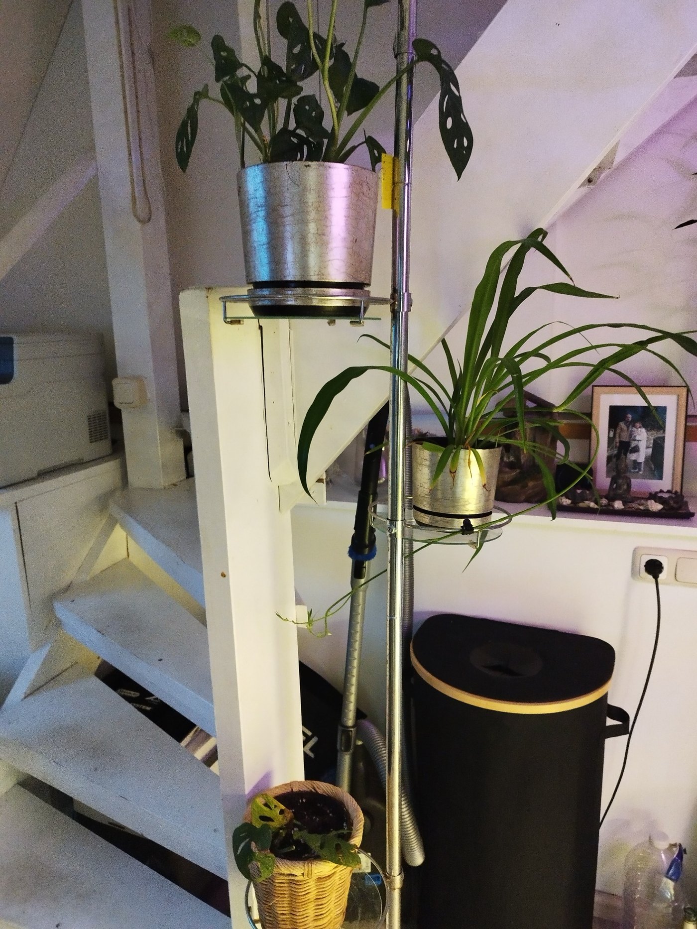 Unsere Pflanzen – 7